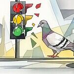 Auffahrunfall: Beim Anfahren an Ampel darf wegen Taube gebremst werden