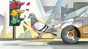 Auffahrunfall durch Bremsen für ein Tier